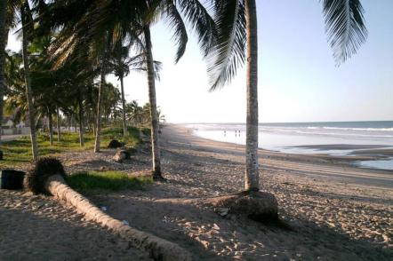 Praia da Barra - Foto: Juniorzzi (Licença-cc-by-sa-3.0)