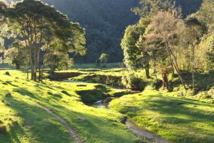 Parque Nacional da Serra do Itajaí - Foto: Cristian Janke (Licença-cc-by-sa-2.0)