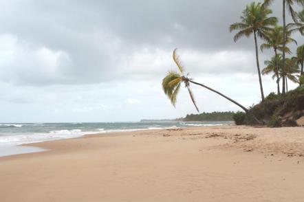 Península de Maraú - Praia de Saquaíra - Foto: Tatiana Azeviche 