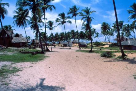 Praia de Arembepe - Camping Foto: Jota Freitas - Setur