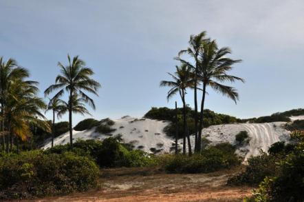 Praia de Massarandupió - Foto: Rita Barreto - Setur