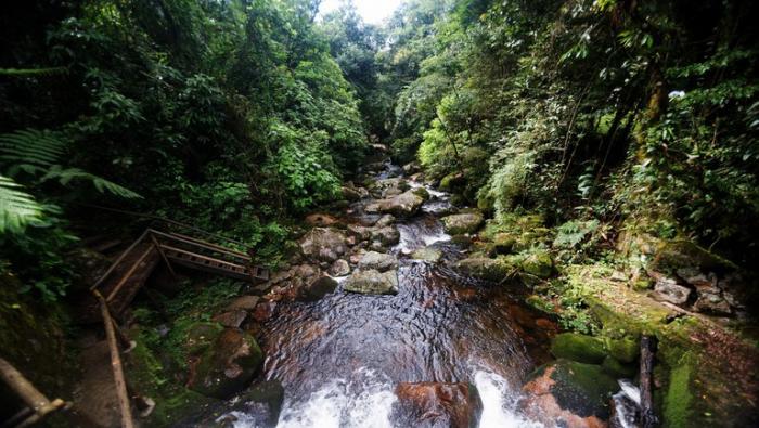 Parque Nac Serra dos Órgãos - Teresópolis (RJ). Foto: Denise Ricardo-MTur Destinos