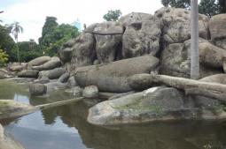 Gruta do Campo de Santana - (Praça da Republica) - Rio-Rj - Foto: Denis Gahyva 