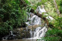 Cachoeira Palomar (Juquitiba-Sp) Foto: Prefeitura de Juquitiba