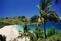 Ilhabela (Praia Bonete) Foto: Thinkstock