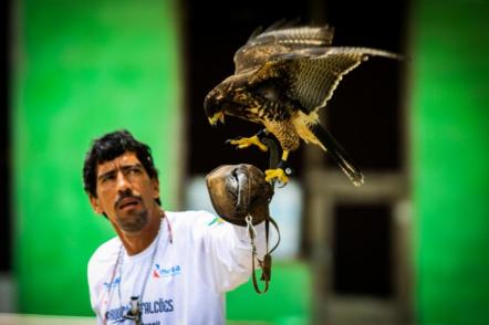 Adestramento no Parque dos Falcões - Foto: Acervo Emsetur