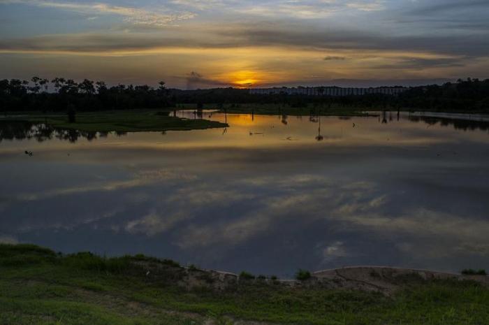 Lago Remanso do Boto (Manaus) Foto: Paulo Cattelan (Licença: CC-BY-SA-3.0)